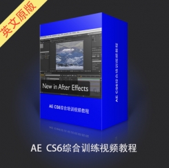 AE CS6综合培训视频教程