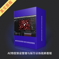 AE特效预设管理与制作训练视频教程